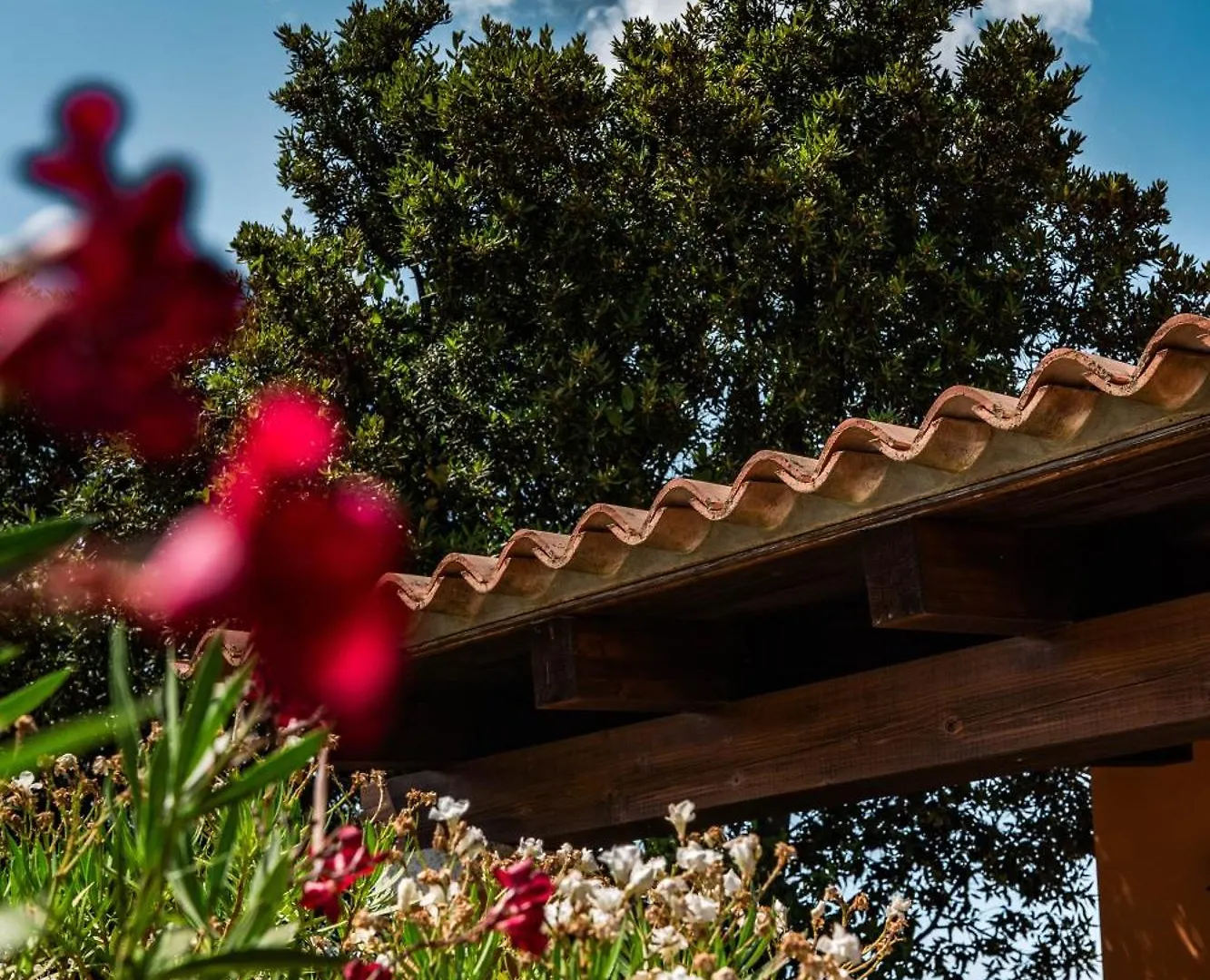 אולביה Casagliana Suite Resort איטליה