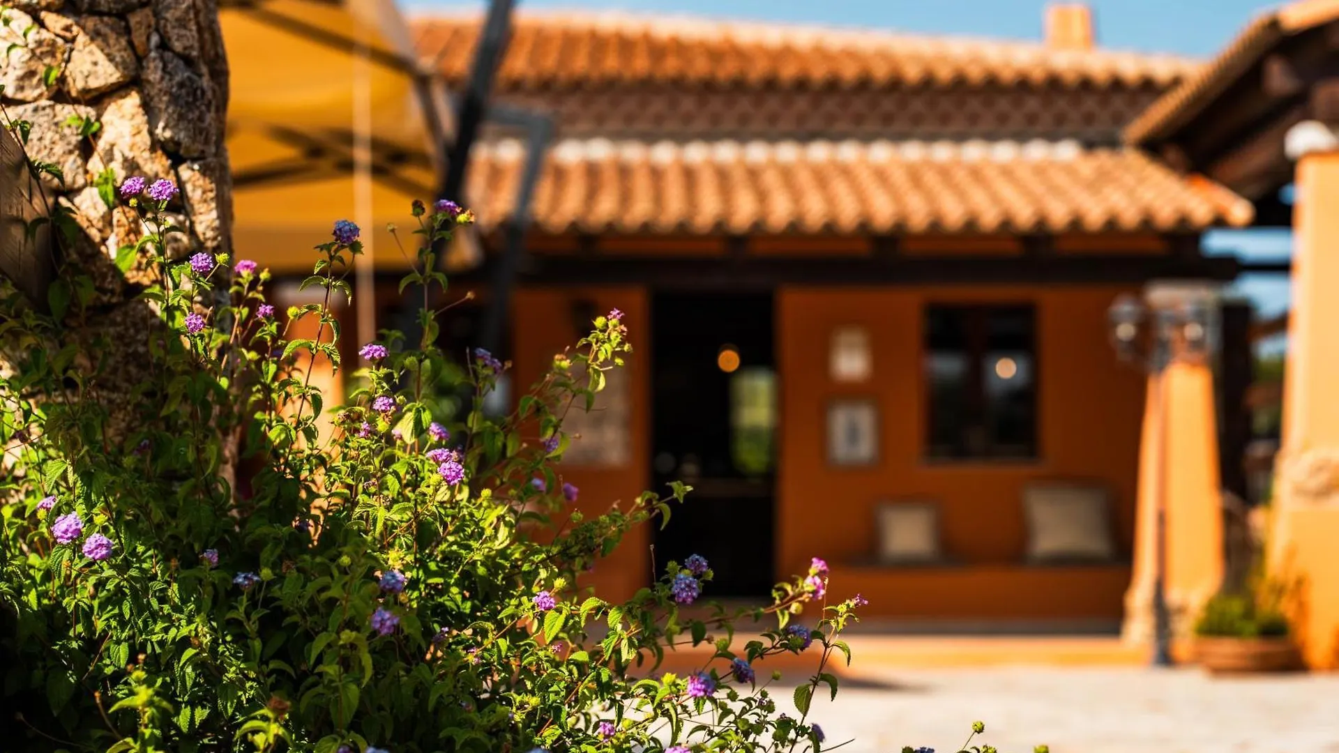 ****  אולביה Casagliana Suite Resort איטליה