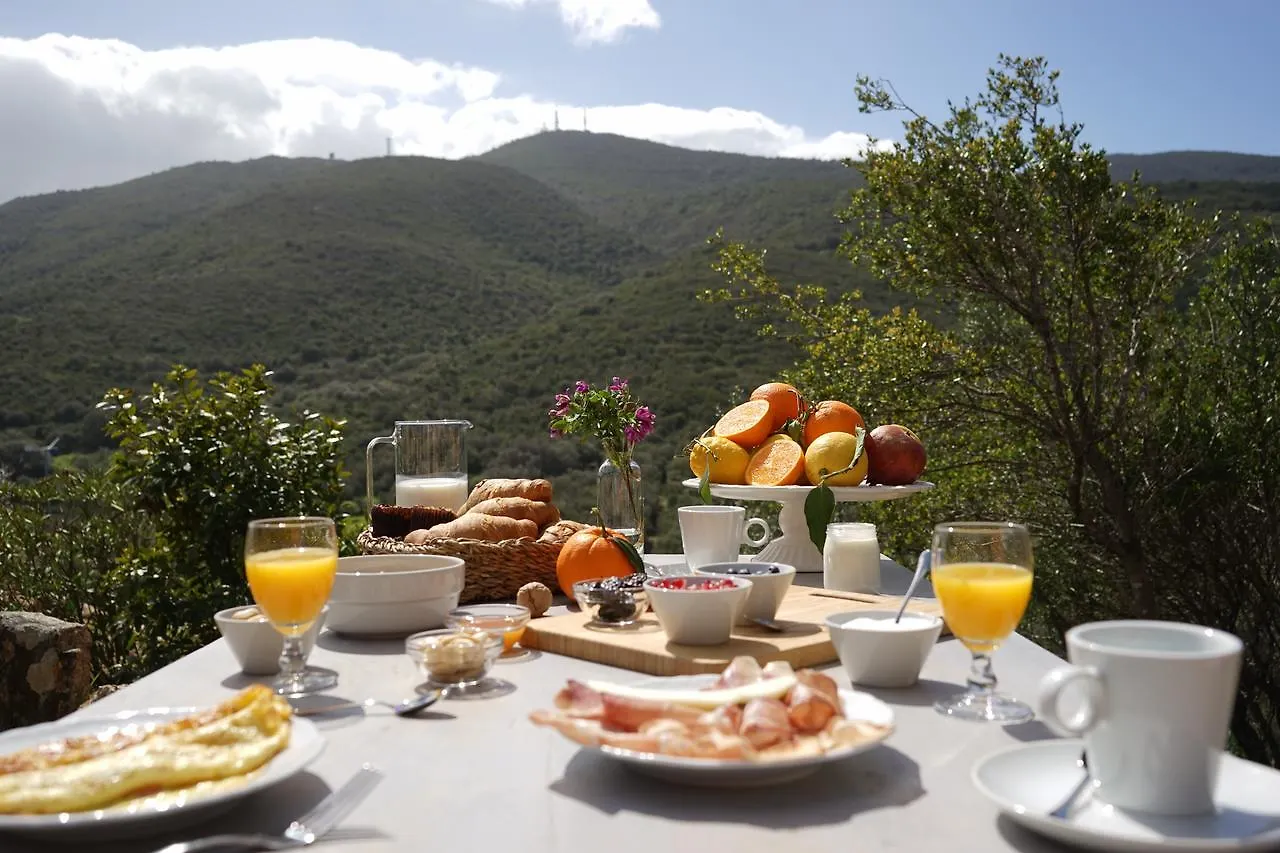 אולביה Casagliana Suite Resort